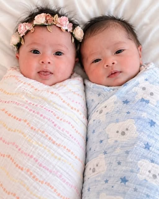 I left my newborn twins
